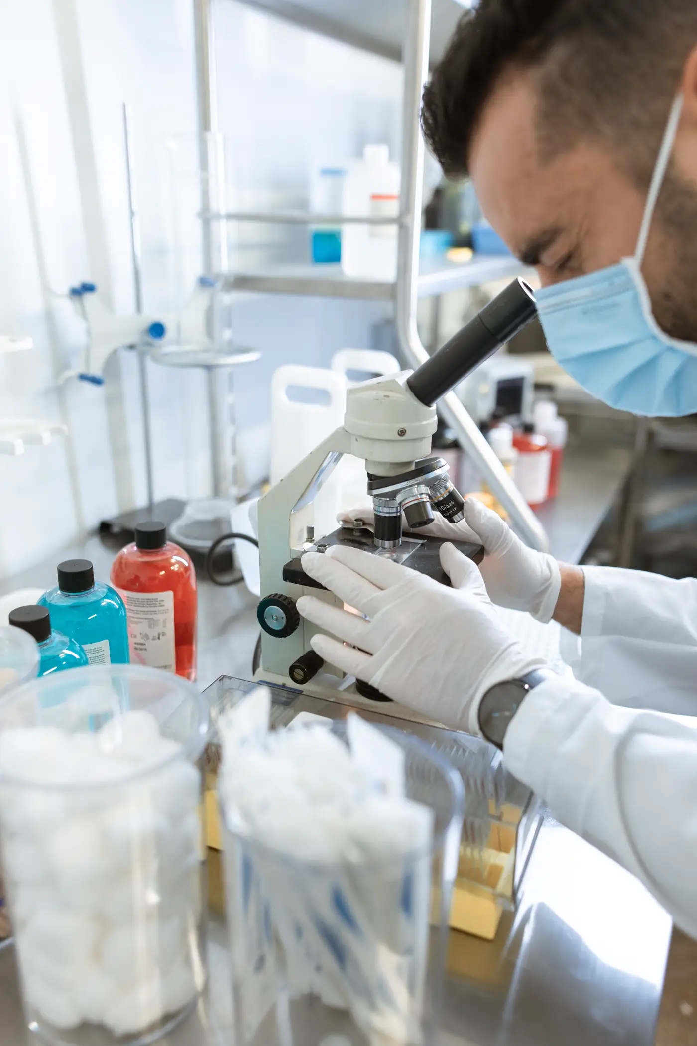 Scientist examining samples in a laboratory
